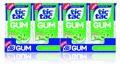Tic Tac Gum Spearmint 12,1 g 