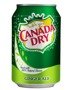 Schweppes Canada Dry Ginger Ale CAN 330 ml